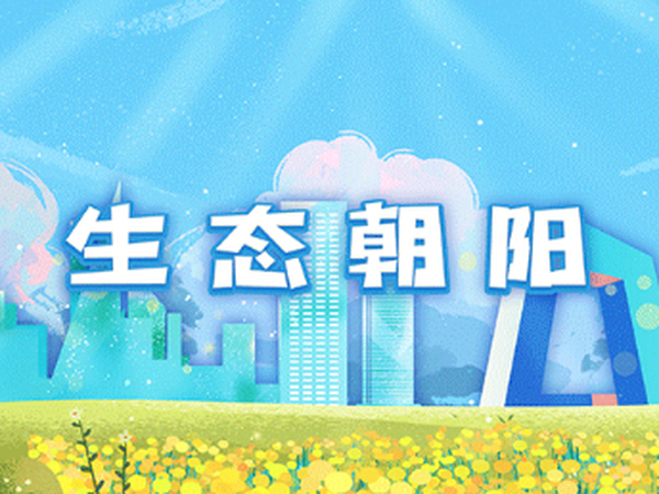 “生态大脑”启用！朝阳区召开2024年大气污染防治工作部署会