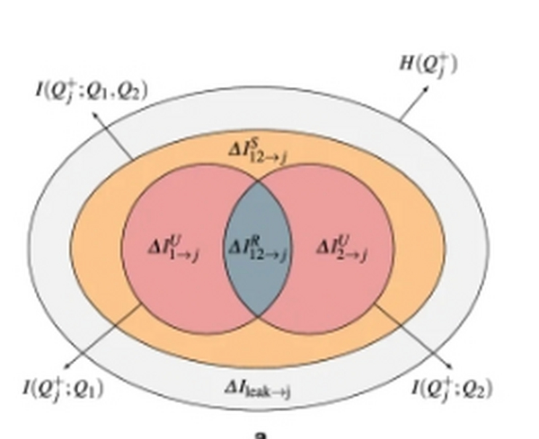 转载：Nature: 因果关系可分解为协同、独特和冗余部分