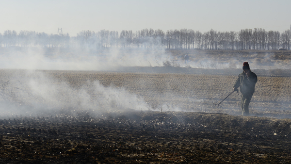 秸秆禁烧问题的舆情分析